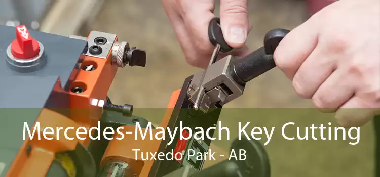 Mercedes-Maybach Key Cutting Tuxedo Park - AB