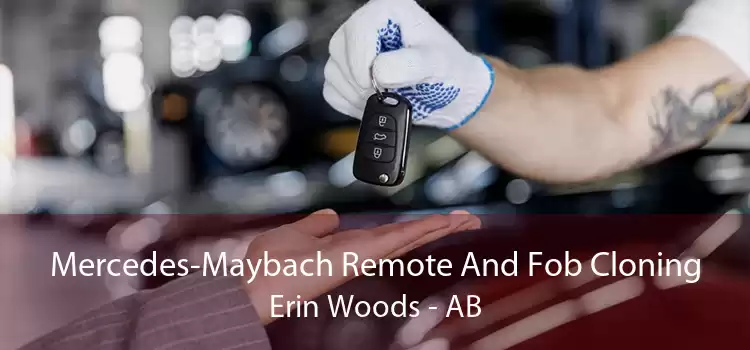 Mercedes-Maybach Remote And Fob Cloning Erin Woods - AB