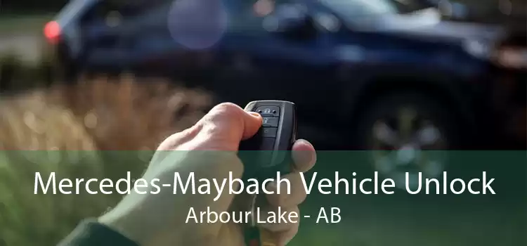 Mercedes-Maybach Vehicle Unlock Arbour Lake - AB