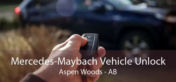 Mercedes-Maybach Vehicle Unlock Aspen Woods - AB
