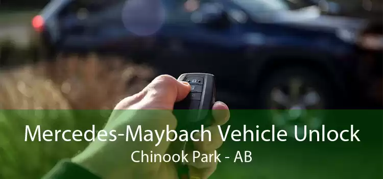 Mercedes-Maybach Vehicle Unlock Chinook Park - AB