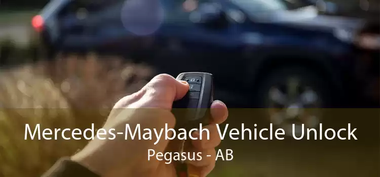Mercedes-Maybach Vehicle Unlock Pegasus - AB