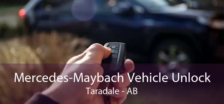 Mercedes-Maybach Vehicle Unlock Taradale - AB