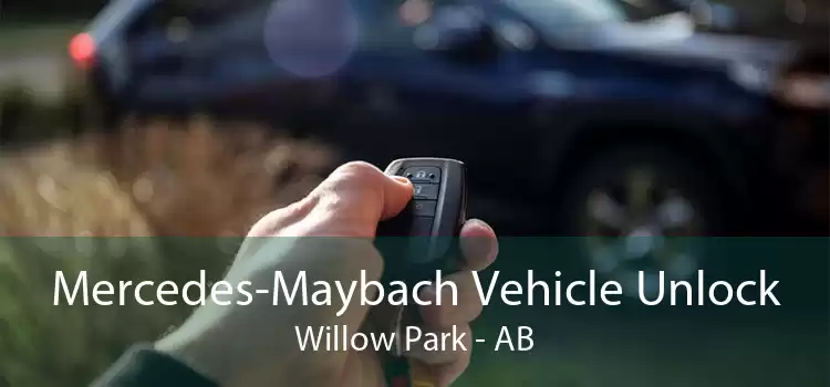 Mercedes-Maybach Vehicle Unlock Willow Park - AB