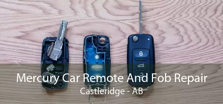 Mercury Car Remote And Fob Repair Castleridge - AB