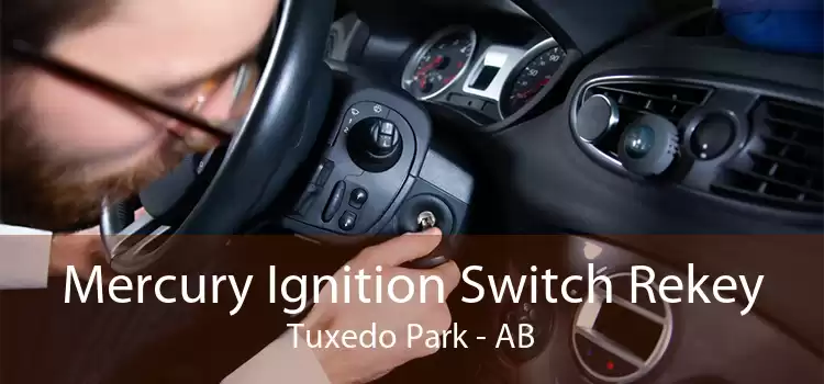 Mercury Ignition Switch Rekey Tuxedo Park - AB