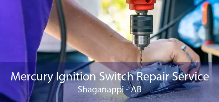 Mercury Ignition Switch Repair Service Shaganappi - AB