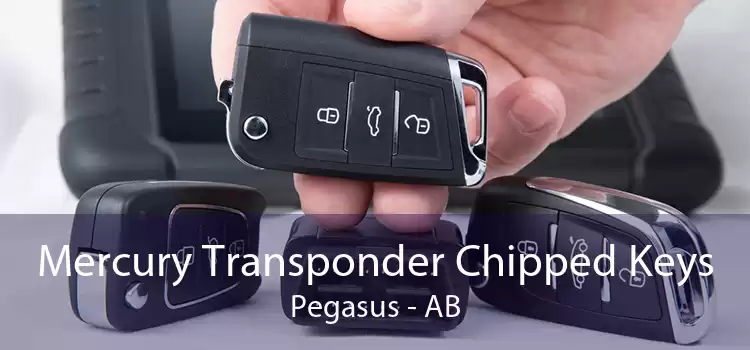Mercury Transponder Chipped Keys Pegasus - AB