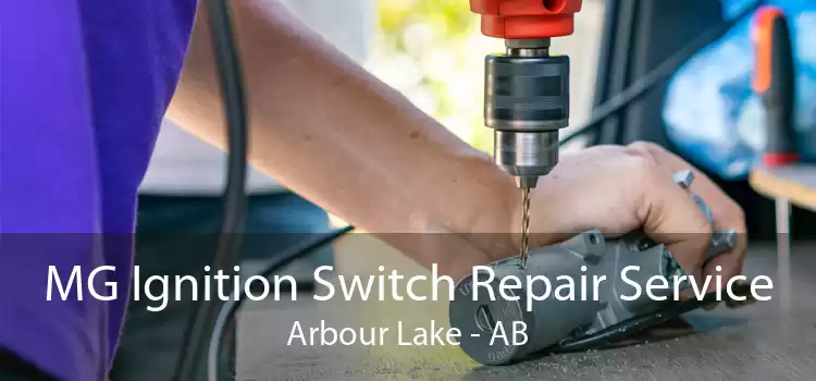 MG Ignition Switch Repair Service Arbour Lake - AB