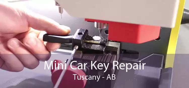 Mini Car Key Repair Tuscany - AB