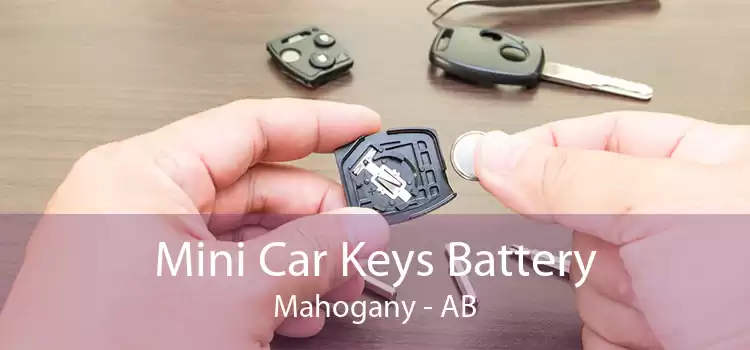 Mini Car Keys Battery Mahogany - AB