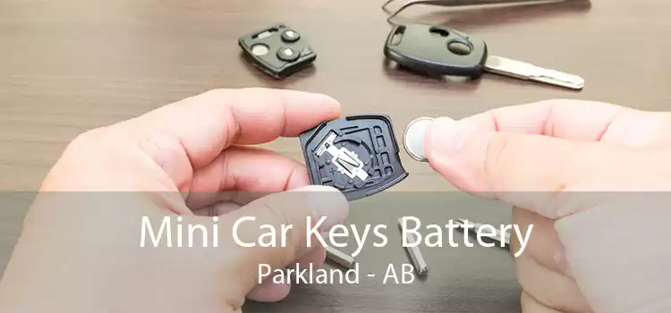 Mini Car Keys Battery Parkland - AB