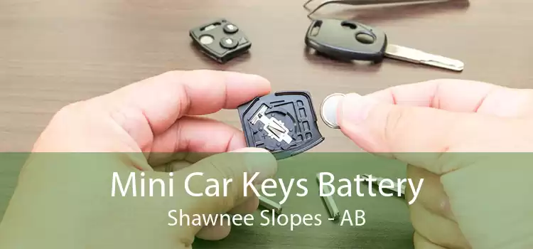 Mini Car Keys Battery Shawnee Slopes - AB