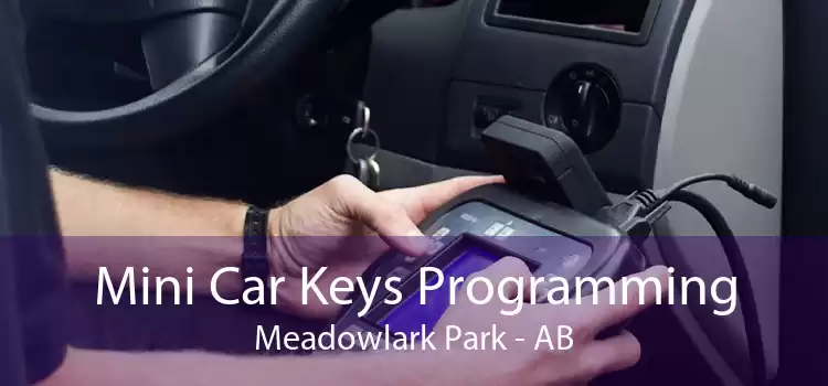 Mini Car Keys Programming Meadowlark Park - AB
