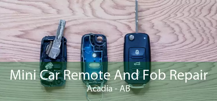 Mini Car Remote And Fob Repair Acadia - AB