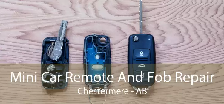 Mini Car Remote And Fob Repair Chestermere - AB