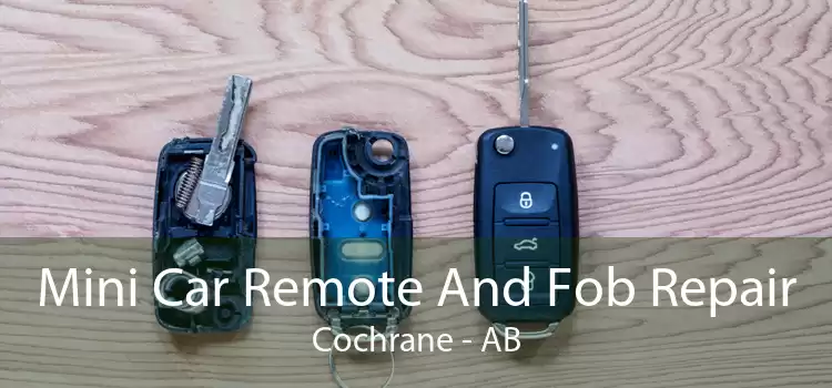 Mini Car Remote And Fob Repair Cochrane - AB