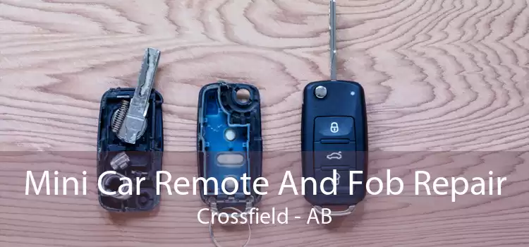 Mini Car Remote And Fob Repair Crossfield - AB