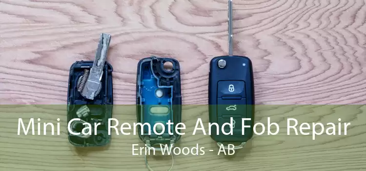 Mini Car Remote And Fob Repair Erin Woods - AB