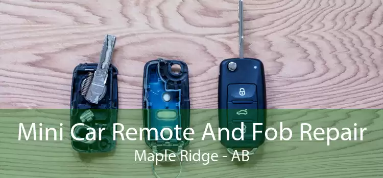 Mini Car Remote And Fob Repair Maple Ridge - AB