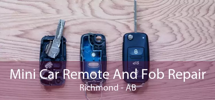 Mini Car Remote And Fob Repair Richmond - AB