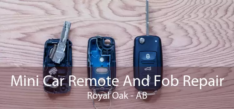Mini Car Remote And Fob Repair Royal Oak - AB