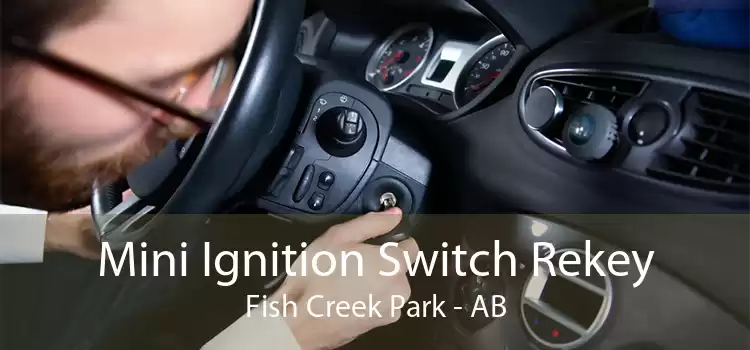 Mini Ignition Switch Rekey Fish Creek Park - AB