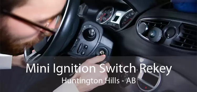 Mini Ignition Switch Rekey Huntington Hills - AB