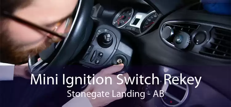 Mini Ignition Switch Rekey Stonegate Landing - AB