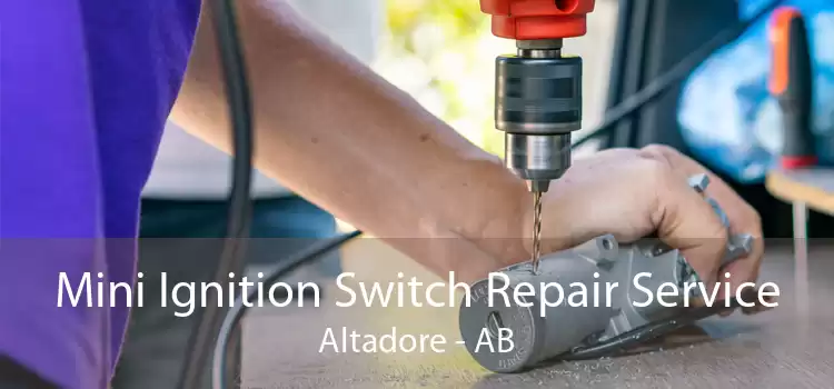 Mini Ignition Switch Repair Service Altadore - AB