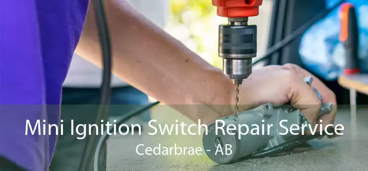 Mini Ignition Switch Repair Service Cedarbrae - AB