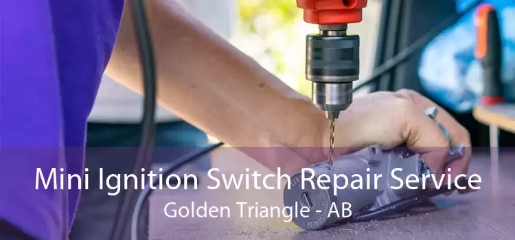 Mini Ignition Switch Repair Service Golden Triangle - AB
