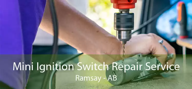 Mini Ignition Switch Repair Service Ramsay - AB