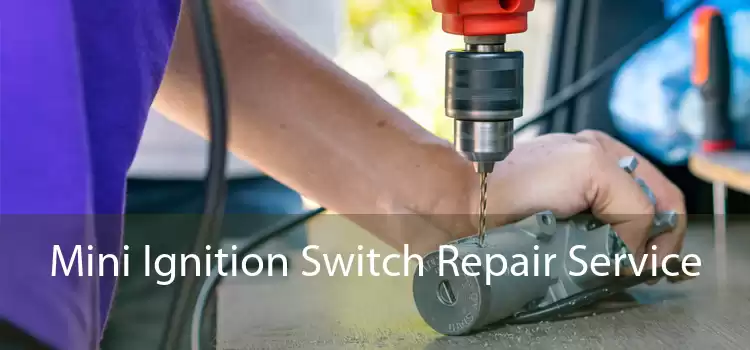 Mini Ignition Switch Repair Service 