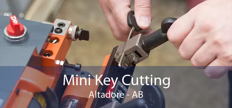 Mini Key Cutting Altadore - AB