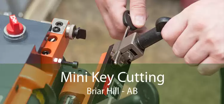 Mini Key Cutting Briar Hill - AB