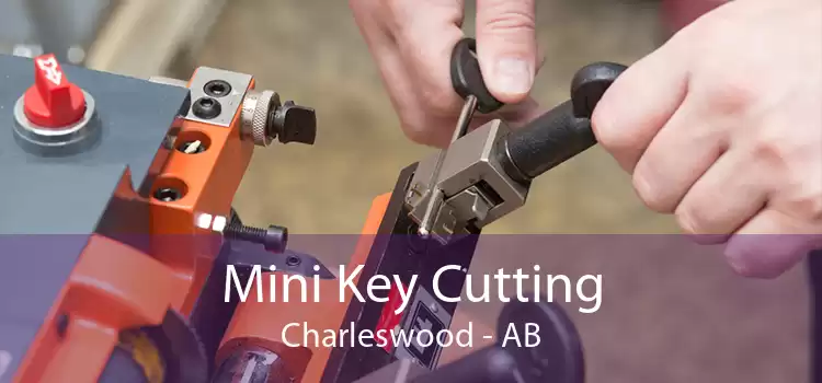 Mini Key Cutting Charleswood - AB