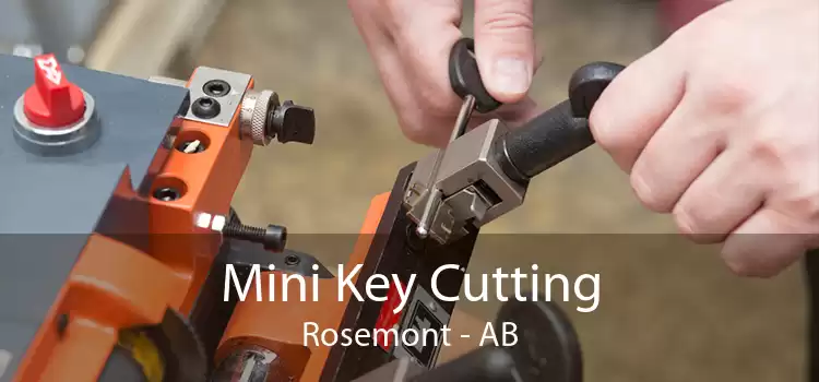 Mini Key Cutting Rosemont - AB
