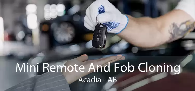 Mini Remote And Fob Cloning Acadia - AB