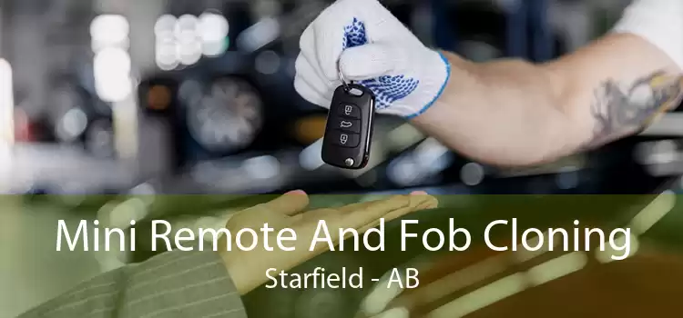 Mini Remote And Fob Cloning Starfield - AB