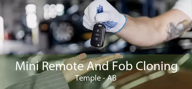 Mini Remote And Fob Cloning Temple - AB