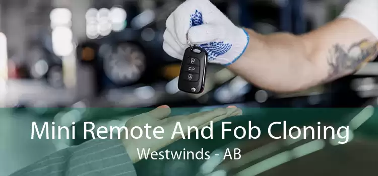 Mini Remote And Fob Cloning Westwinds - AB