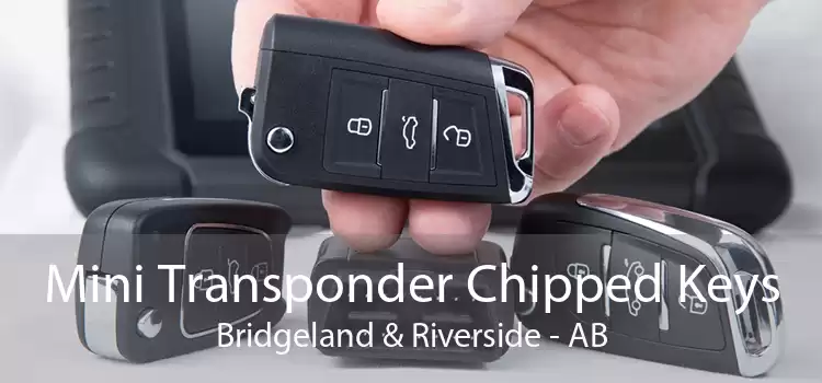 Mini Transponder Chipped Keys Bridgeland & Riverside - AB