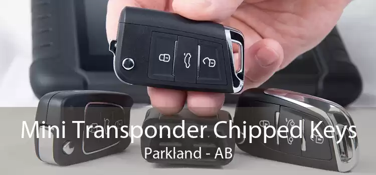 Mini Transponder Chipped Keys Parkland - AB