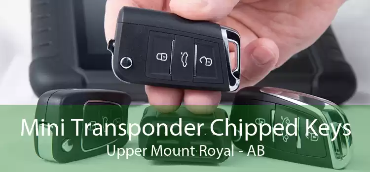 Mini Transponder Chipped Keys Upper Mount Royal - AB