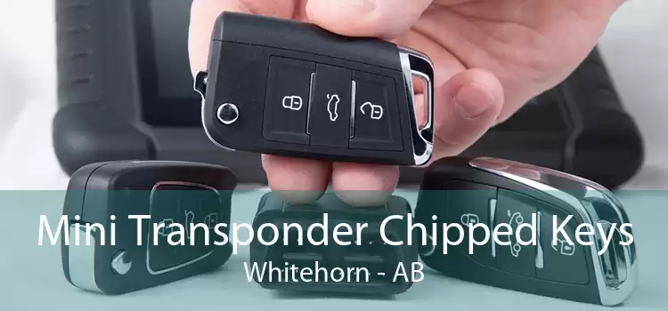 Mini Transponder Chipped Keys Whitehorn - AB