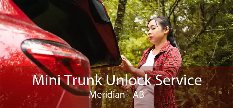 Mini Trunk Unlock Service Meridian - AB