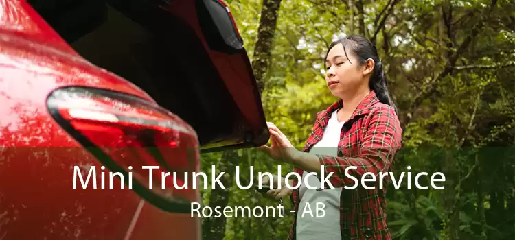 Mini Trunk Unlock Service Rosemont - AB