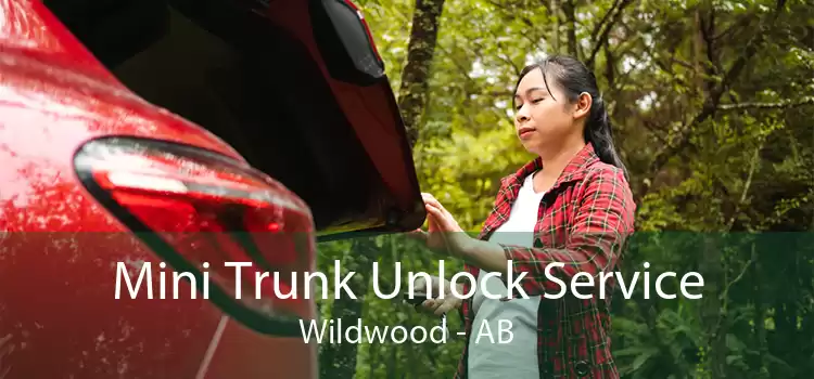 Mini Trunk Unlock Service Wildwood - AB