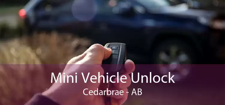 Mini Vehicle Unlock Cedarbrae - AB